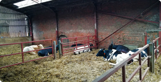 ferme
