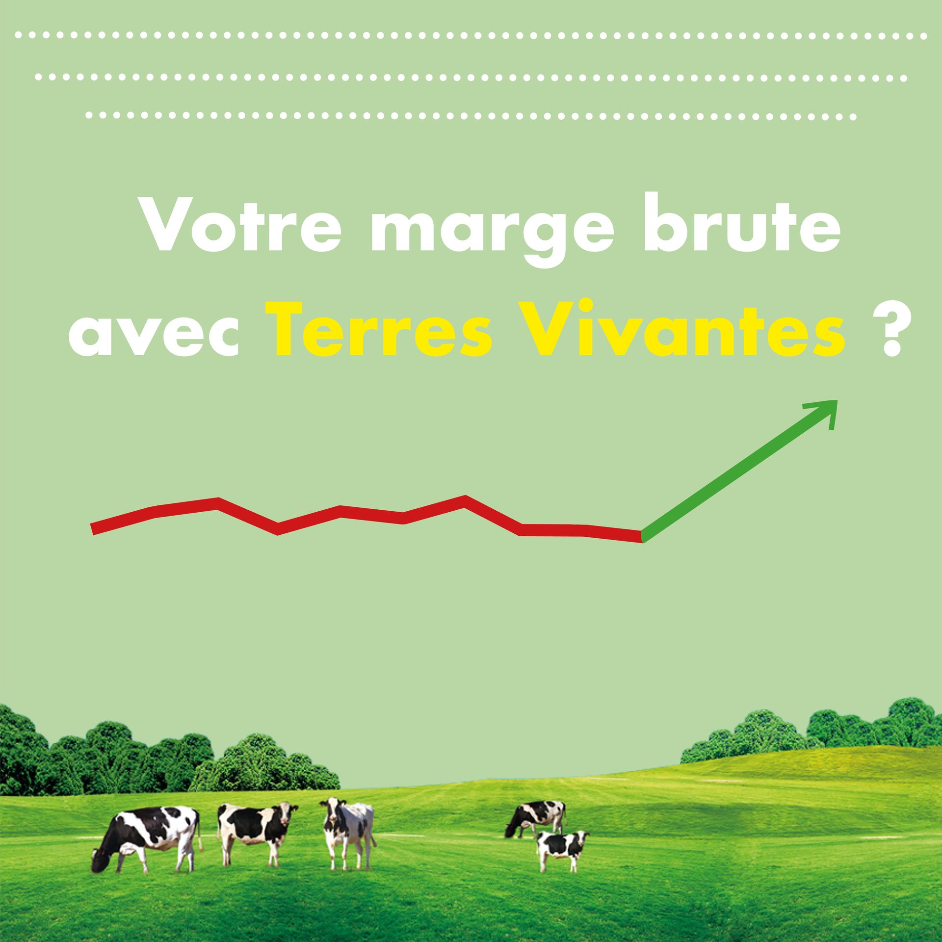 Image illustrant la marge brute positive avec Terres Vivantes
