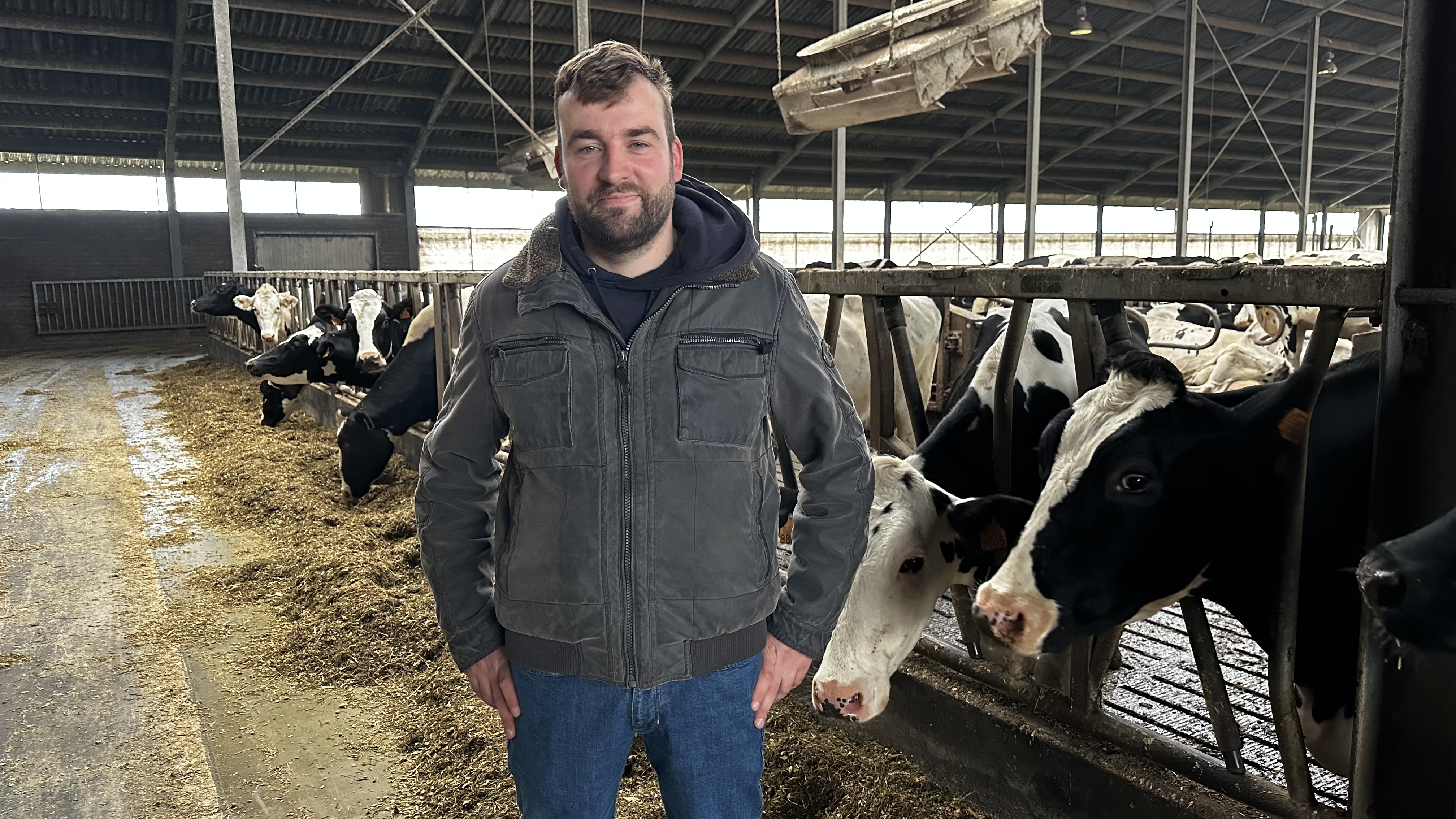 L'agriculteur membre de Terres Vivantes, Thibault Lamérand (Comines-Warneton) dans l'étable de ses vaches