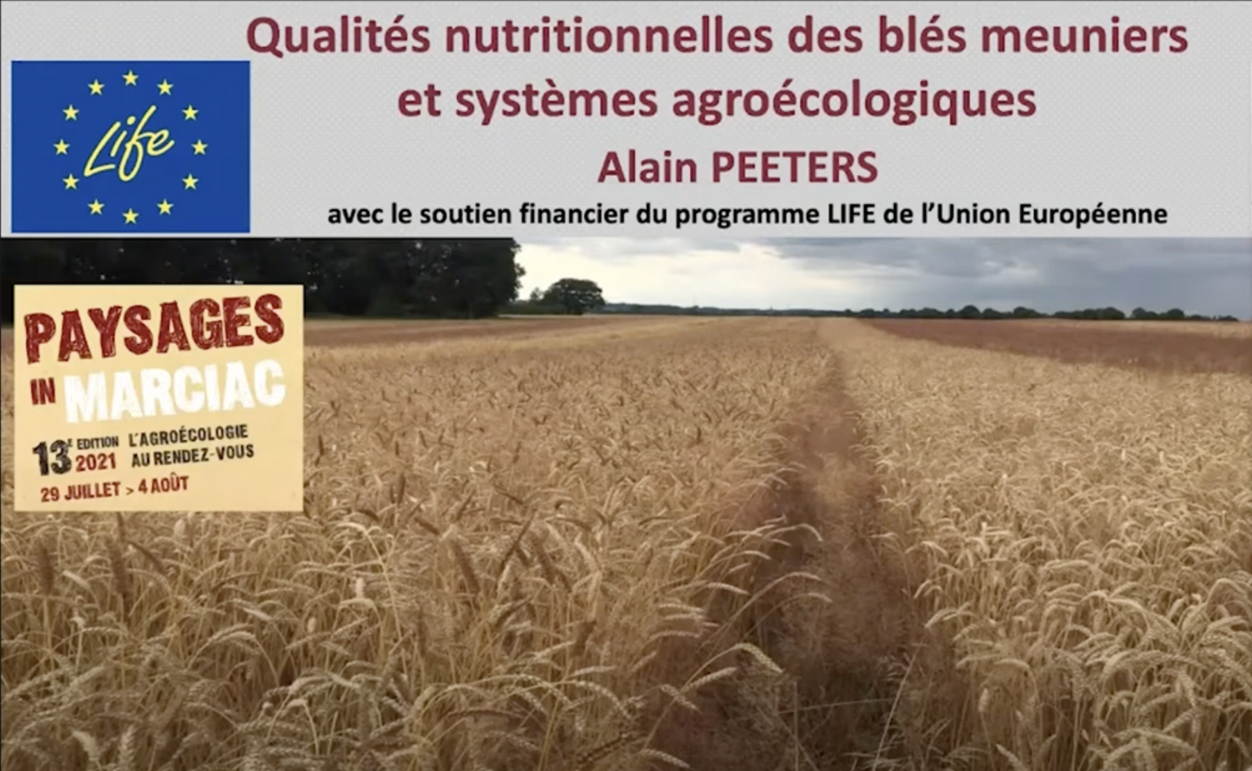 Qualités nutritionnelles des blés en système agroécologique, par Alain Peeters