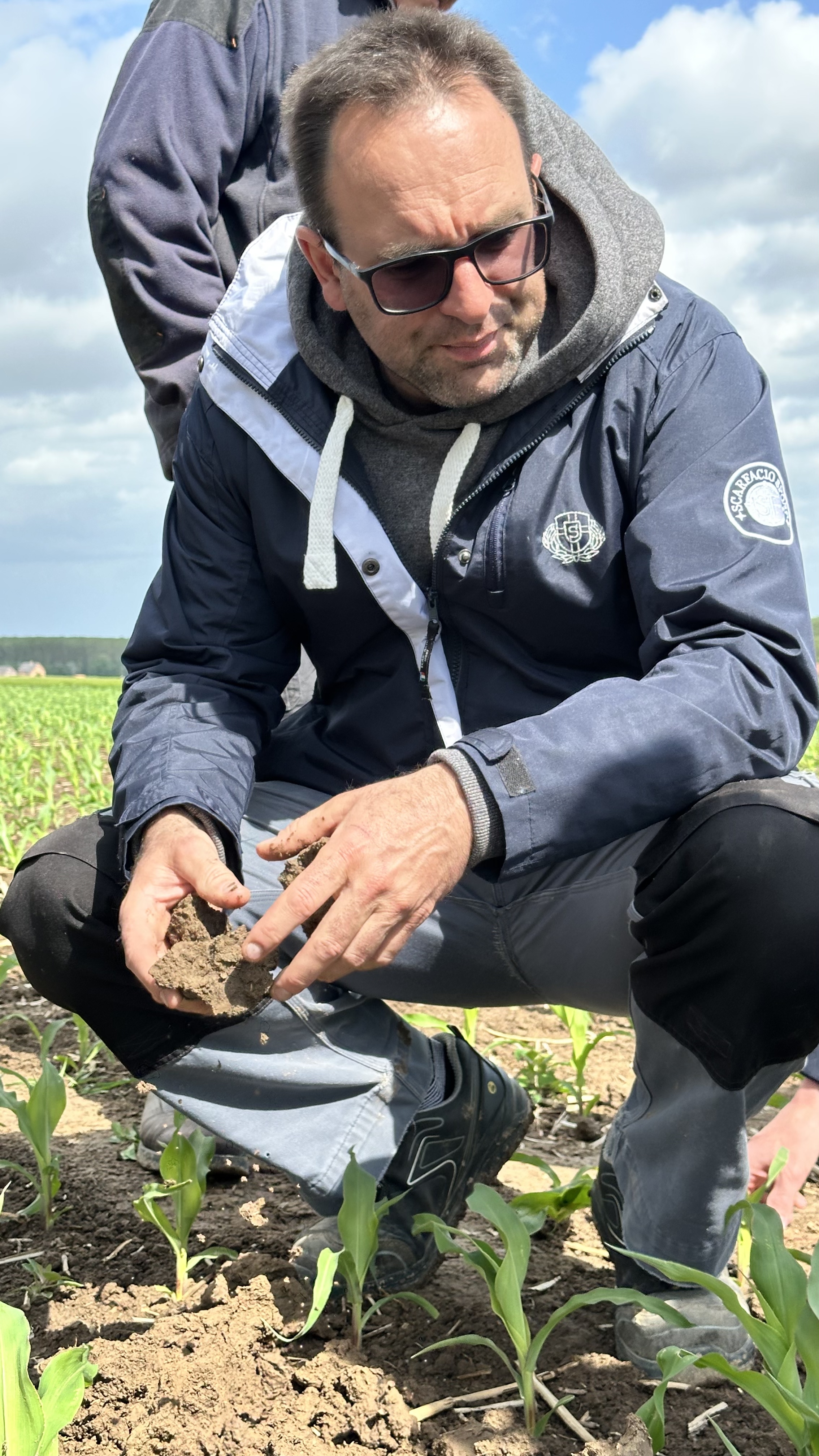 Gauthier Bossut, membre de Terres Vivantes, observe le sol dans ses maïs