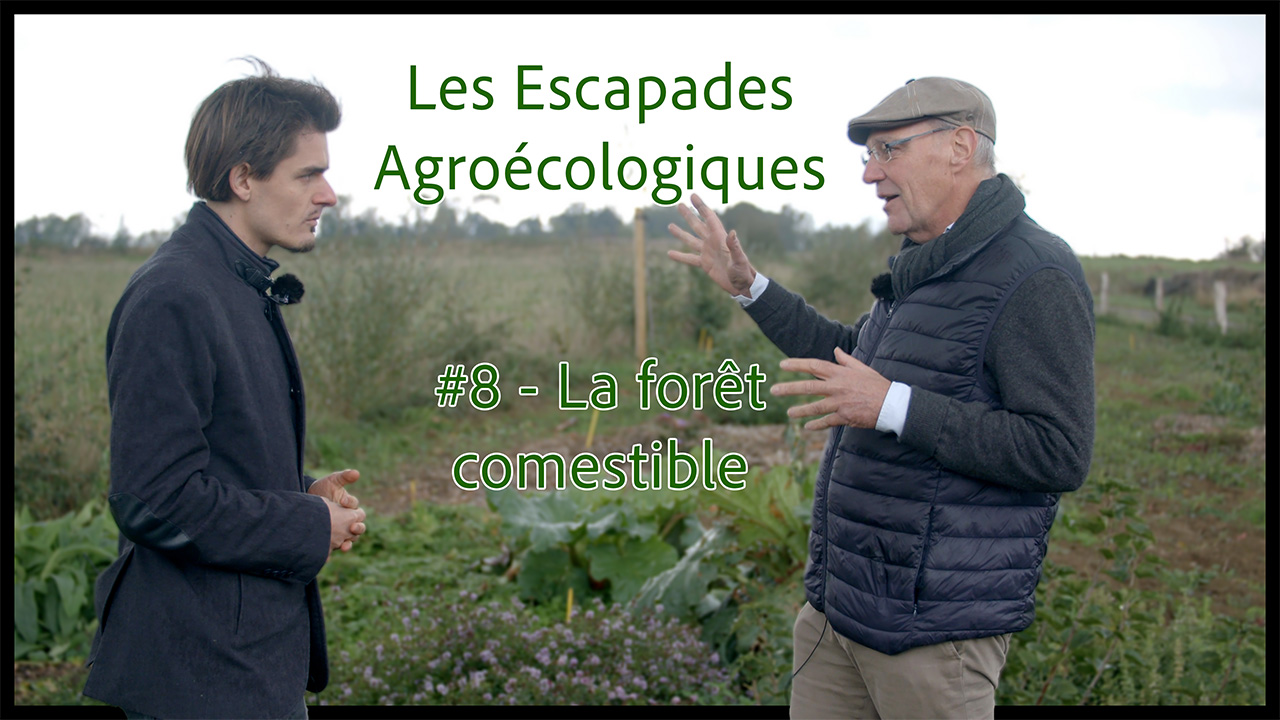 Les Escapades Agroécologiques #8 : la forêt comestible