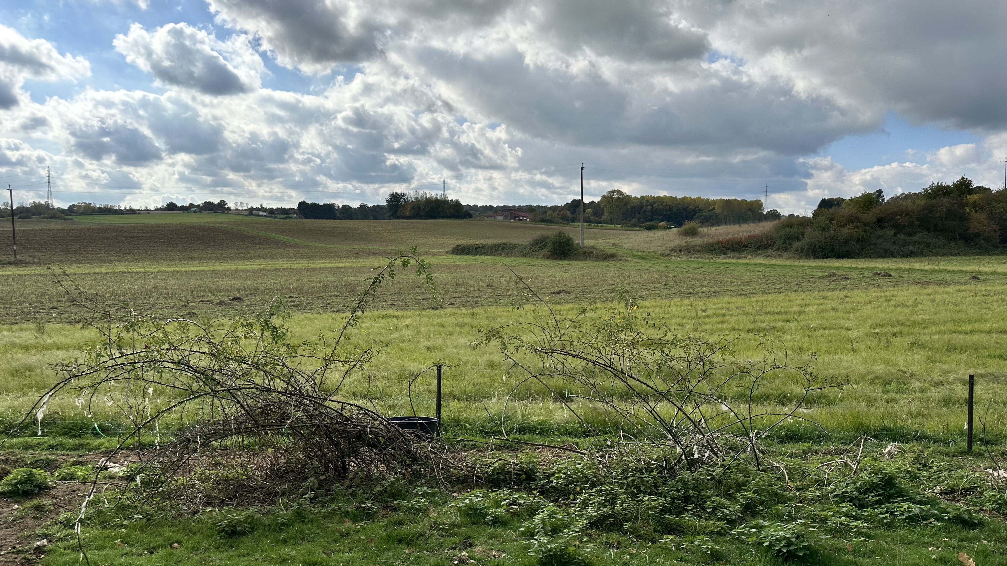 Les parcelles de la Ferme Cartrysse 