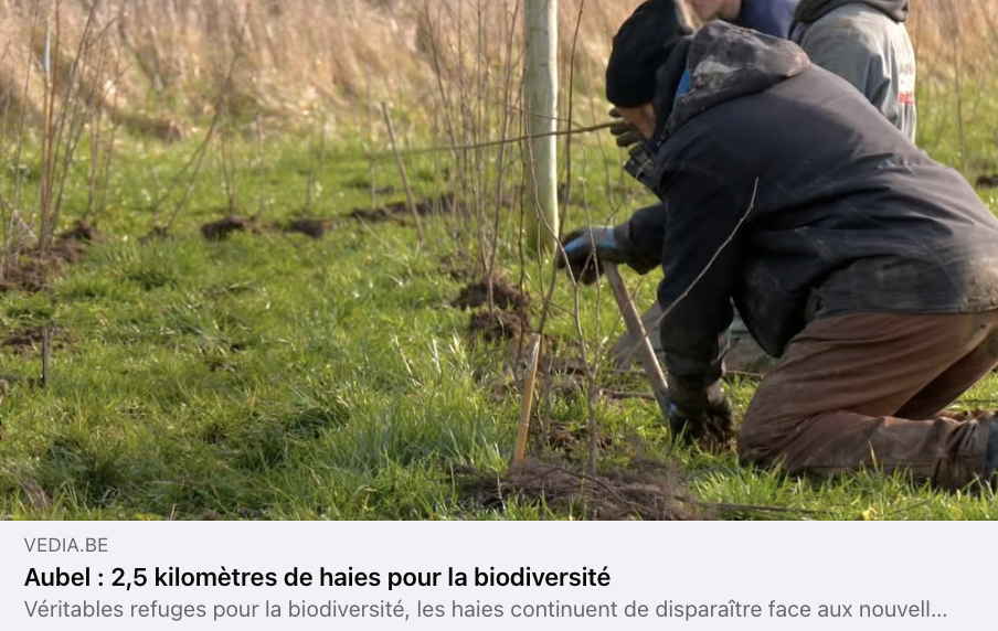 La vignette du reportage de Vedia sur la plantation de haies chez Michael Gilliquet et sur le travail de Terres Vivantes