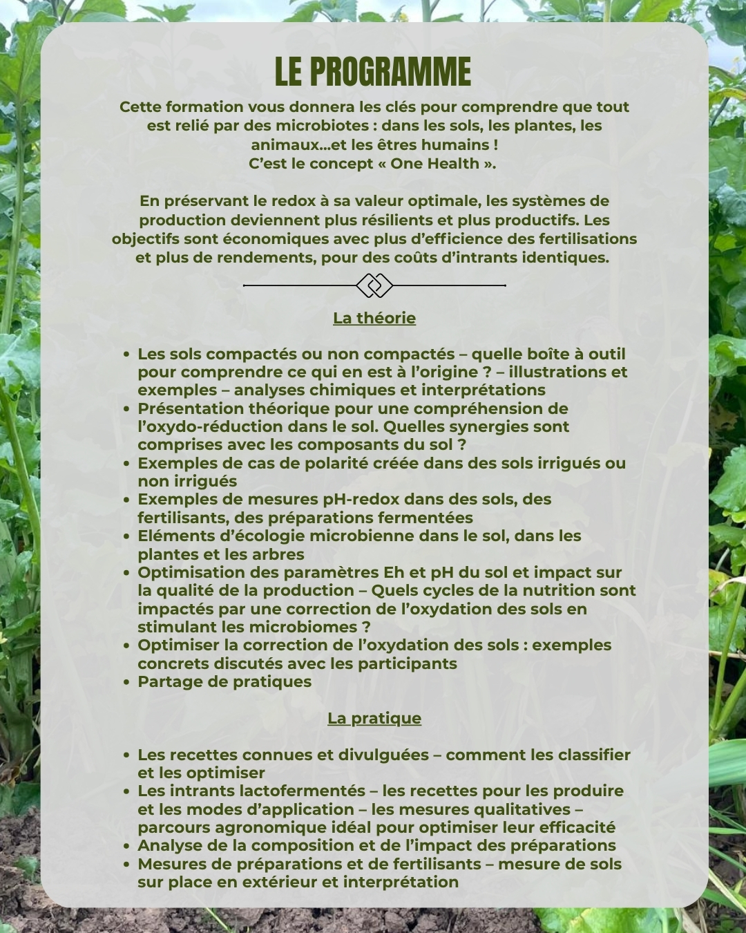 Le programme de notre formation 'Régénérer les sols par l'approche PH-redox