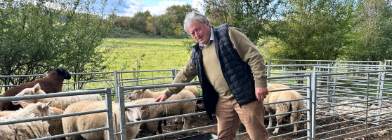 Roland Cartrysse, polyculteur-éleveur de moutons à Philippeville