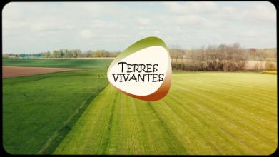 Logo de Terres Vivantes apposé au milieu d'une photo représentant un champ