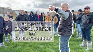 On découvre la ferme laitière de Denis Coquelet et son pâturage tournant dynamique