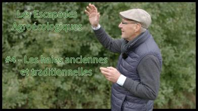 Les Escapades Agroécologiques #4 : les haies anciennes et traditionnelles