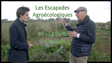 Les Escapades Agroécologiques #8 : la forêt comestible