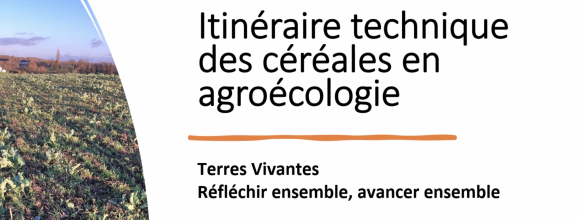 La vignette de notre webinaire consacré à l'itinéraire technique des céréales en agroécologie