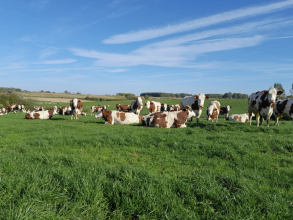 Un Coin de prairie avec BioWallonie