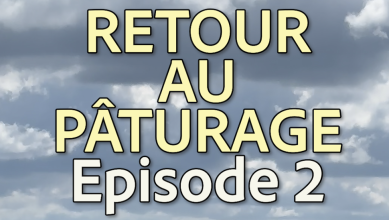 La vignette de notre série Retour au Pâturage #2