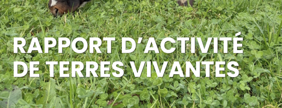 Notre rapport d'activité 2025