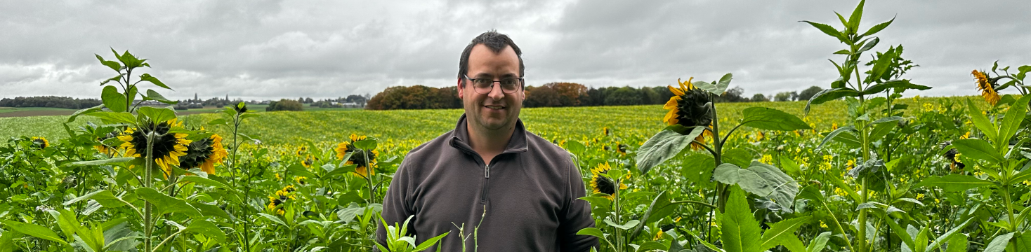 Charles Losseau, membre de Terres Vivantes, et agriculteur en grandes cultures, au milieu de ses couverts diversifiés comprenant notamment des tournesols en fleur