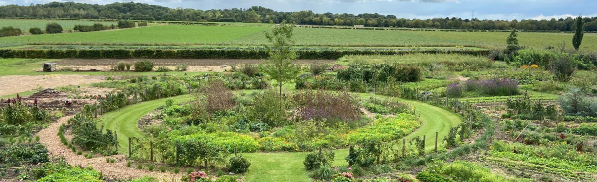 Le jardin-potager diversifié du Domaine de Chercq