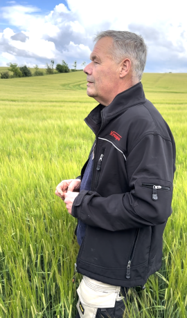 Claude Henricot, pionnier de l'agroécologie, dans une de ses parcelles de céréales