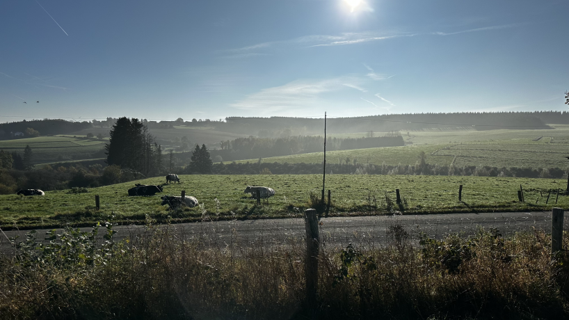 La vue sur les prairies luxembourgoises depuis le site de la Ferme de Moirpus