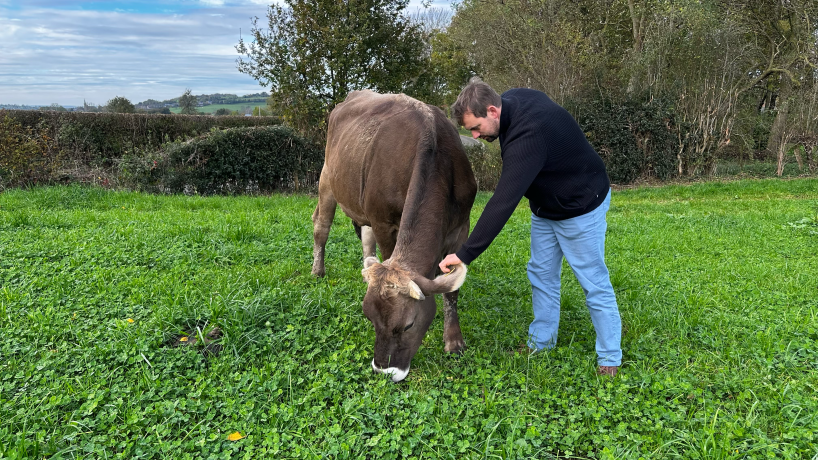 L'éleveur et membre de Terres Vivantes, Michael Gilliquet (Aubel), avec une de ses vaches laitières, dans une prairie du plateau de Herve