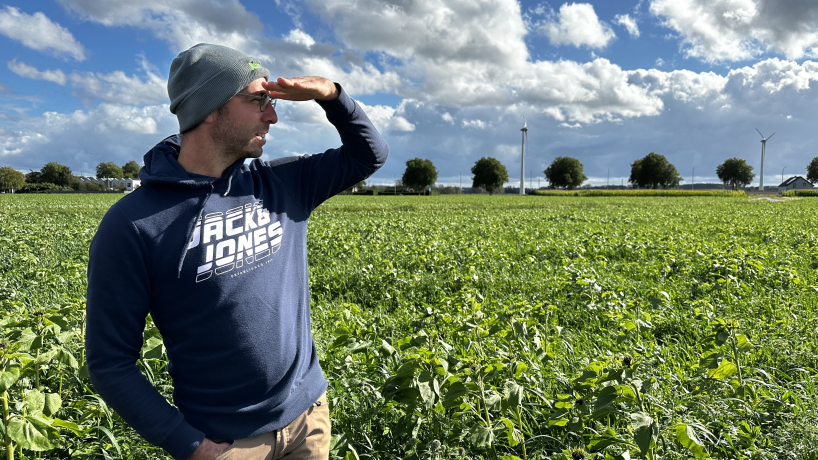 Alexandre Crompot, membre de Terres Vivantes et polyculteur-éleveur laitier à Hensies, regarde sa parcelle de couverts