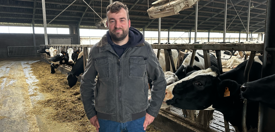 Thibault Lamérand, polyculteur-éleveur laitier à Comines-Warneton, prend la pose devant ses vaches laitières, dans l'étable