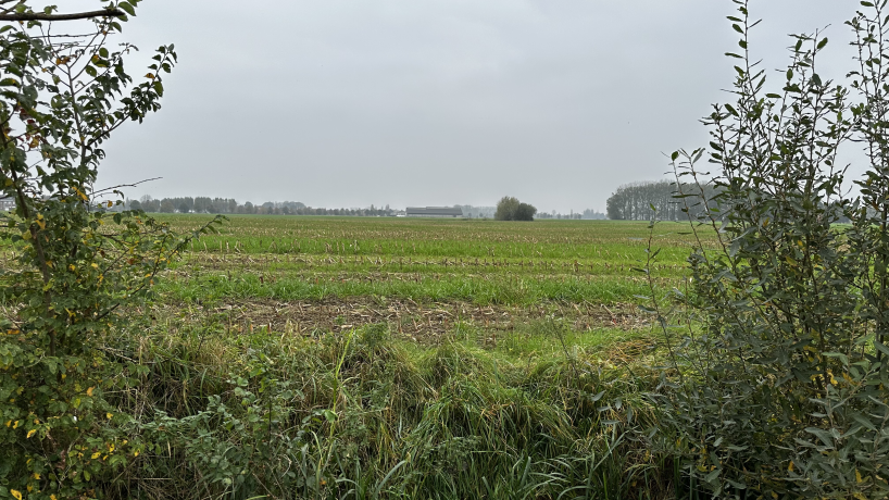 Une vue lointaine de la ferme de Thibault Lamérand à Comines-Warneton