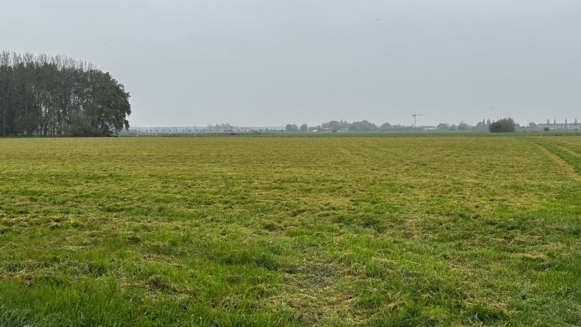 Une vue des prairies de fauche de la ferme de Thibault Lamérand à Comines-Warneton