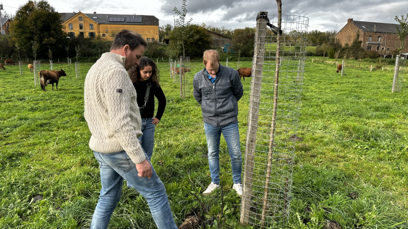L'éléveur laitier et membre de Terres Vivantes Bernard Convié, en discussion avec Geoffrey Watté, agronome chez Terres Vivantes, et Chloé Guillitte, chargée de projet chez Terres Vivantes