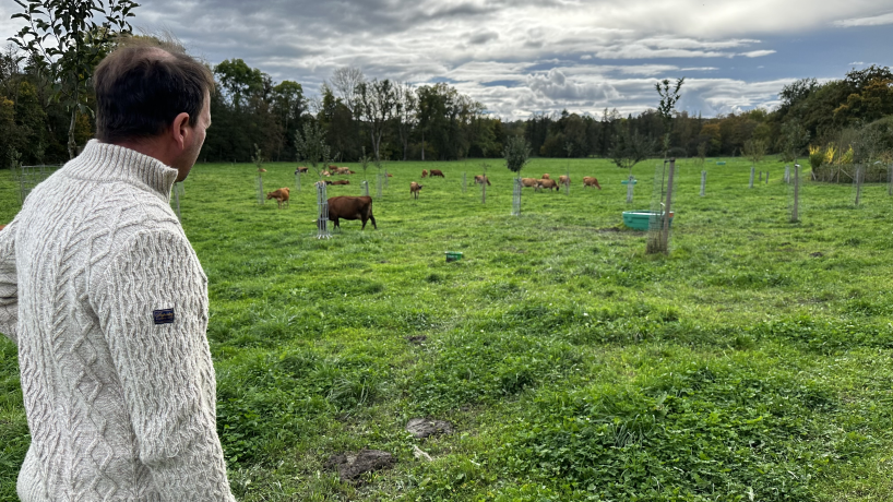 L'éléveur laitier et membre de Terres Vivantes Bernard Convié observe ses vaches en prairie