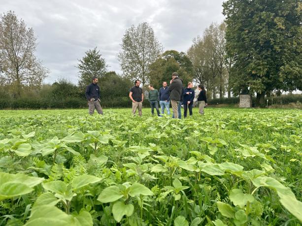Luc Joris et un groupe d'agriculteurs membres lors d'un tour de plaine organisé par Terres Vivantes