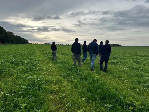 Luc Joris et un groupe d'agriculteurs membres lors d'un tour de plaine organisé par Terres Vivantes