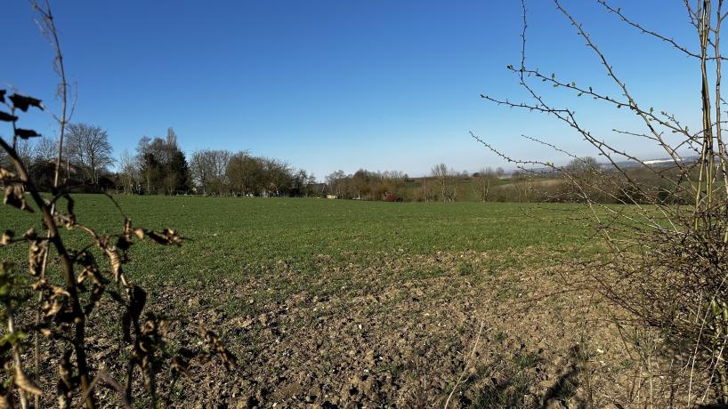 Les cultures de céréales de Benoit Tyberghien