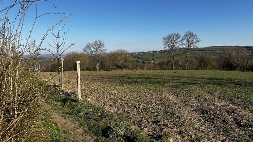 Les cultures de céréales de Benoit Tyberghien