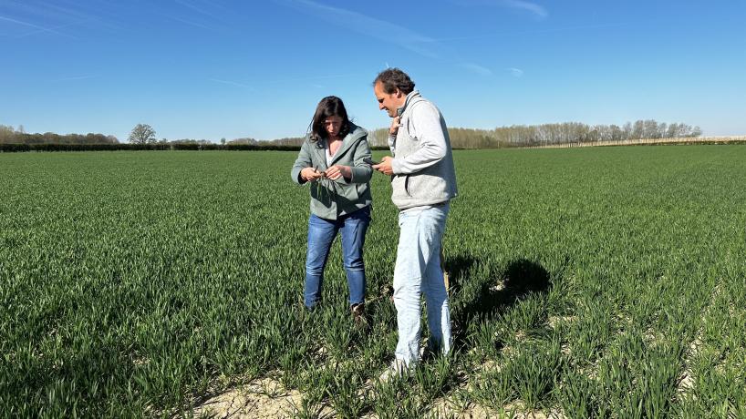 Jean d'Arschot, propriétaire de la Ferme de Waanrode et membre de Terres Vivantes, en discussion avec l'agronome Elisabeth Van Rompu lors d'un tour de cultures