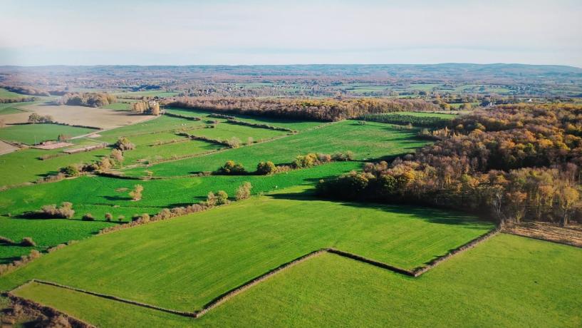 Une vue aérienne des parcelles de la ferme d'Antoine Mabille