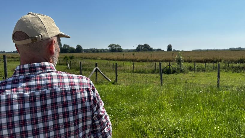 Johan Baland regarde ses cultures