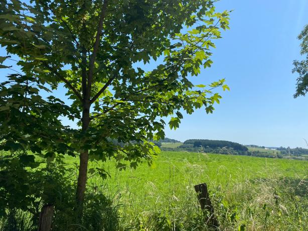 Une vue des terres de la Ferme de Habaru