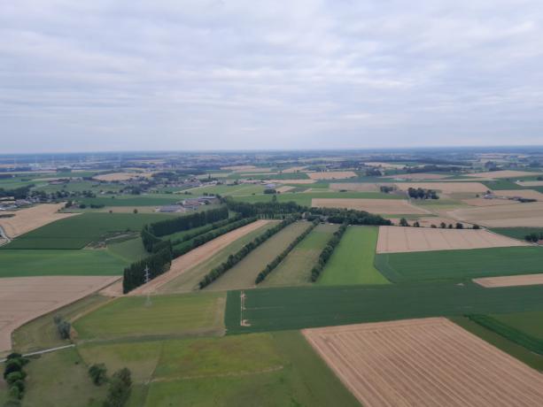 La Ferme du Plesnoy et son système d'agroforesterie vus du ciel