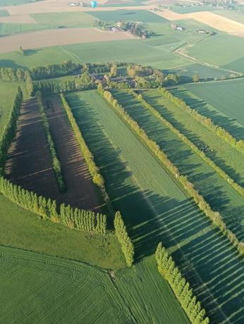 La Ferme du Plesnoy et son système d'agroforesterie vus du ciel