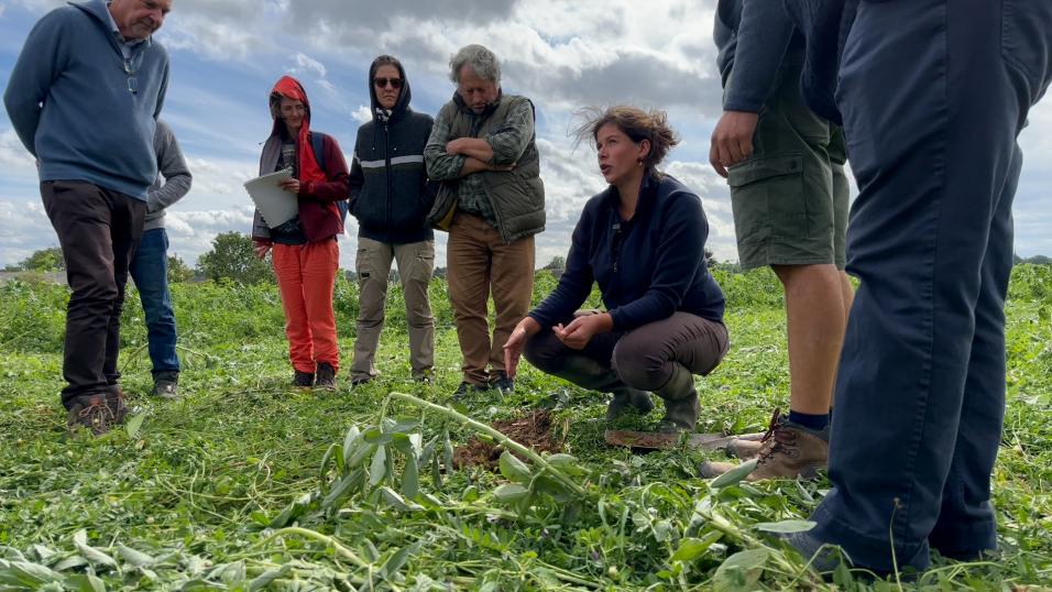 L'agronome de Terres Vivantes, Elisabeth Van Rompu, en pleine explication auprès d'un groupe d'agriculteurs lors d'un tour de plaine consacré aux couverts végétaux